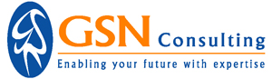 GSN Consulting